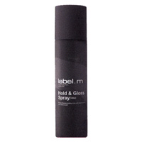 HOLD & GLOSS SPRAY LABEL.M Špeciálne produkty pre vlasy